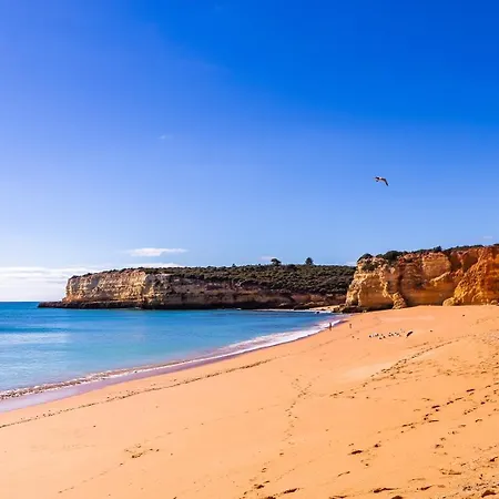 Casa Kiwi - Senhora Da Rocha, Algarve דירה *